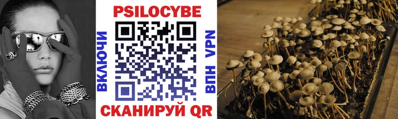 Псилоцибиновые грибы Psilocybe  Купить закладки  Семёнов 